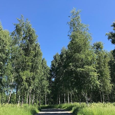 Stort Hus I Porsgrunn Sentrum Med Gangavstand Til "Alt" & Gratis Parkering Til Flere Biler Exterior photo