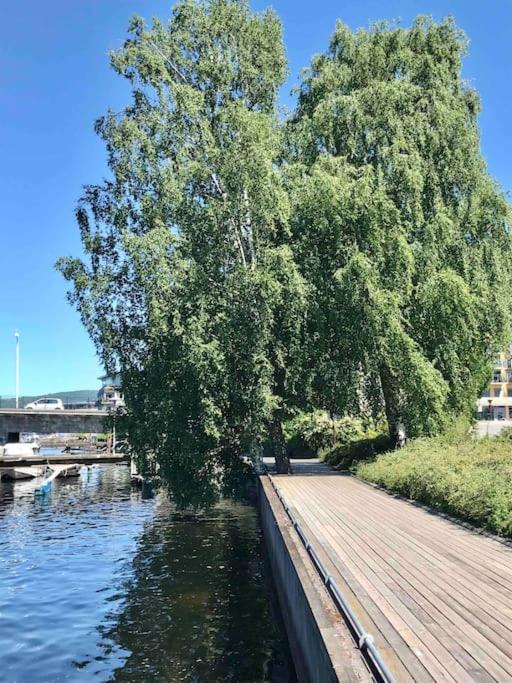 Stort Hus I Porsgrunn Sentrum Med Gangavstand Til "Alt" & Gratis Parkering Til Flere Biler Exterior photo